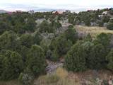 2102 High Cedar View Dr - Photo 13