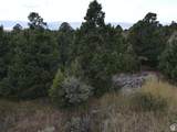 2102 High Cedar View Dr - Photo 18