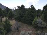 2102 High Cedar View Dr - Photo 22
