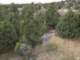2102 High Cedar View Dr - Photo 23