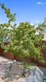 2297 New Harvest Ln - Photo 32