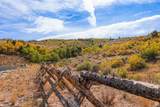 1878 Remuda Run Ct - Photo 1