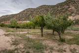 1095 Montezuma Canyon Rd - Photo 89