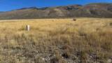 1292 Moose Loop - Photo 5