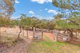 195 Oak Dr - Photo 44