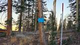 289 Summit Dr - Photo 4