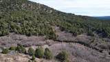 201 Hidden Canyon Dr - Photo 17