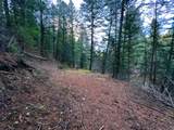 1 Pine Dr - Photo 36