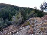 1 Pine Dr - Photo 40
