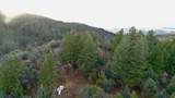 1 Pine Dr - Photo 46