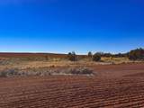 5 Richardson Rd - Photo 10