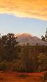 95 Wray Mesa Rd - Photo 2