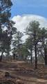 95 Wray Mesa Rd - Photo 11