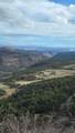 95 Wray Mesa Rd - Photo 12