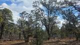 95 Wray Mesa Rd - Photo 4