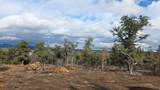 95 Wray Mesa Rd - Photo 5