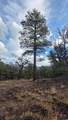 95 Wray Mesa Rd - Photo 8