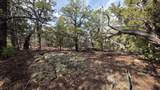 95 Wray Mesa Rd - Photo 9