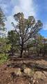 95 Wray Mesa Rd - Photo 10