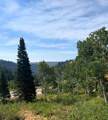 6825 6675 - Photo 17
