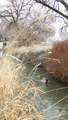 715 300 - Photo 17
