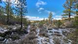 60 Wray Mesa Rd - Photo 11