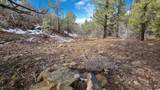 60 Wray Mesa Rd - Photo 6