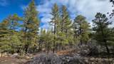 60 Wray Mesa Rd - Photo 8