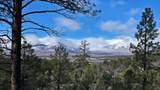 60 Wray Mesa Rd - Photo 9