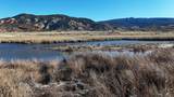 890 Hatchery Rd - Photo 28
