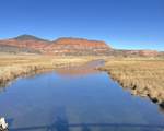 890 Hatchery Rd - Photo 35