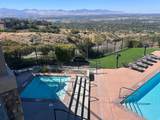 14133 Spyglass Hill Dr - Photo 50
