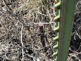 951 E-1567-0026-0000 - Photo 4