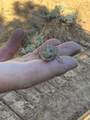 2 Mineral Springs Rd - Photo 7