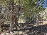 1 Mineral Springs Rd - Photo 11