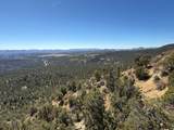1 Mineral Springs Rd - Photo 4