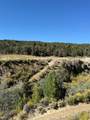 1 Mineral Springs Rd - Photo 5