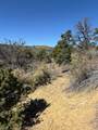 1 Mineral Springs Rd - Photo 9