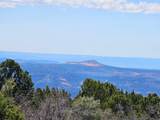 1 Mineral Springs Rd - Photo 10