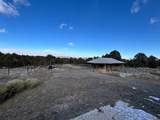 36652 Highway 40 - Photo 32
