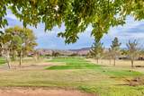 3009 Jacob Hamblin Dr - Photo 71