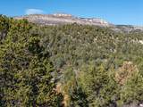 6 North Fork Rd - Photo 19