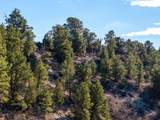 6 North Fork Rd - Photo 22