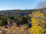 6 North Fork Rd - Photo 47
