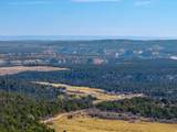 6 North Fork Rd - Photo 59