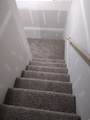 3315 Appaloosa Way - Photo 26