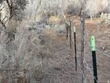 5846 N Dry Fork Canyon Rd Rd - Photo 11