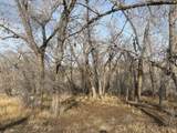 5846 N Dry Fork Canyon Rd Rd - Photo 13