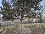 5846 N Dry Fork Canyon Rd Rd - Photo 8