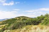13610 Deer Canyon Dr - Photo 31